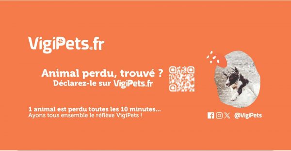 VigiPets.fr