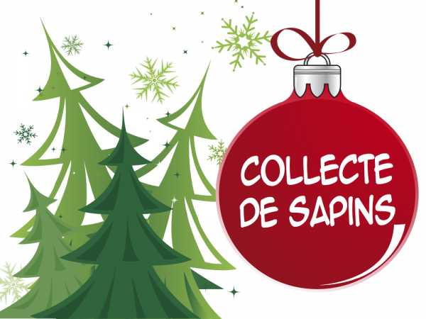Collectes des sapins