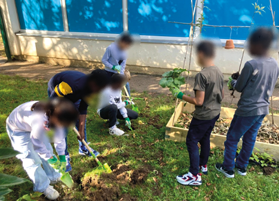 Un exemple de permaculture