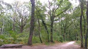 Forêt régionale de Bréviande