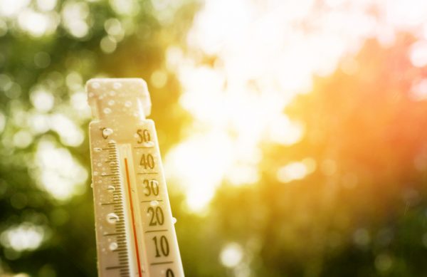 Canicule 22 et 23 juin : organisation des activités municipales